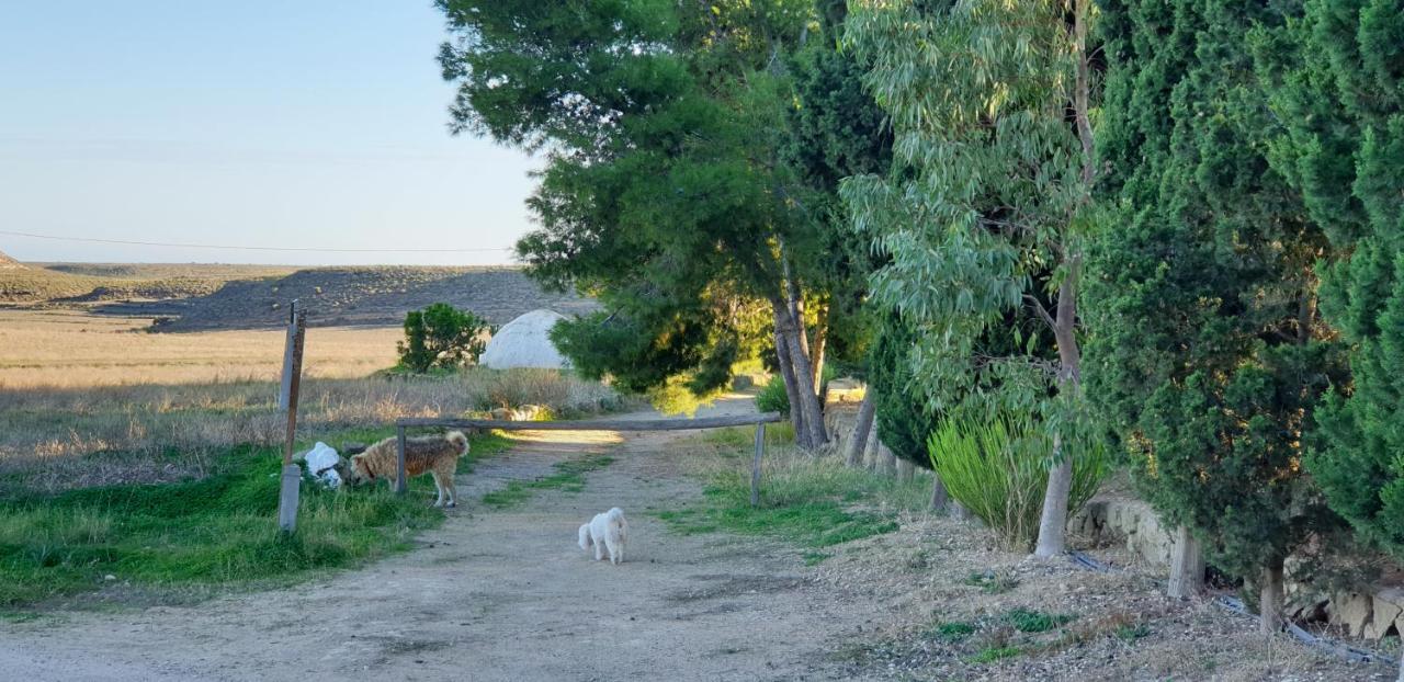Villa El Molino de arriba Níjar Exterior foto